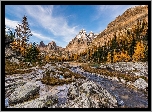 Kanada, Kolumbia Brytyjska, Park Narodowy Yoho, Płaskowyż Opabin Plateau, Góra Mount Huber, Strumień, Góry, Drzewa, Rzeka, Kamienie