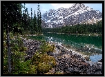 Kanada, Kolumbia Brytyjska, Park Narodowy Yoho, Góry Canadian Rockies, Jezioro O’Hara, Kamienie, Świerki