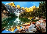 Kanada, Prowincja Alberta, Park Narodowy Banff, Góry, Las, Jezioro Moraine, Dolina Dziesięciu Szczytów, Kamienie, Odbicie