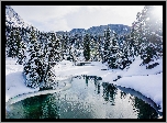 Kanada, Prowincja Alberta, Park Narodowy Banff, Rezerwat Ink Pots, Rzeka, Johnston Creek, Góry, Drzewa, Lasy, Zima