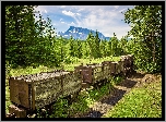 Kanada, Alberta, Lasy, Drzewa, Góra, Mount Rundle, Park Narodowy Banff