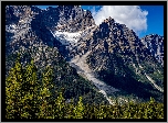 Góry Skaliste, Lasy, Drzewa, Park Narodowy Banff, Prowincja Alberta, Kanada