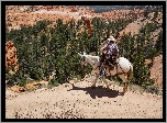 Koń, Kowboj, Kanion, Park Narodowy Bryce Canyon, Stan Utah, Stany Zjednoczone