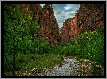 Kanion Zion Narrows, Rzeka, Virgin River, Drzewa, Kamienie, Park Narodowy Zion, Stan Utah, Stany Zjednoczone