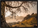 Szwajcaria, Kanton Schwyz, Einsiedeln, Domy, Jezioro, Góry, Drzewo