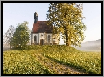 Kapliczka, Drzewa, Łąka, Niemcy