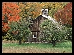 Drewniana, Kapliczka, Las