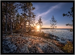 Rosja, Karelia, Jezioro, Ładoga, Drzewa, Skały, Zachód słońca
