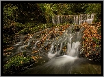 Wodospad Stock Ghyll Force, Kaskada, Rzeka River Rothay, Liście, Jesień, Miejscowość Ambleside, Kumbria, Anglia