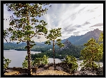 Kazachstan, Góry, Jezioro Borovoe, Drzewa, Sosny