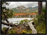 Porośnięte, Góry, Jezioro, Upper Hadlock Lake, Drzewa, Kładka, Park Narodowy Acadia, Stan Maine, Stany Zjednoczone