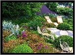 Ogród, Klomby, Kwiaty