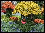 Park, Klomby, Kwiaty