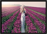 Kobieta, Blondynka, Pole tulipanów