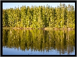 Rzeka Kokemaenjoki, Las, Odbicie, Finlandia