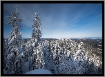 Finlandia, Karelia Północna, Park Narodowy Koli, jezioro Pielinen, Zima, Drzewa, Świerki, Wzgórza
