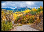 Jesień, Las, Drzewa, Góry, Droga, Chmury, Owl Creek Pass, Kolorado, Stany Zjednoczone
