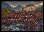 Jesień, Drzewa, Kolorowa, Roślinność, Ciemne, Chmury, Góry Kołymskie, Kołyma, Magadan, Rosja