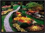 Ogród, Kolorowe, Kwiaty