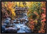 Jesień, Potok, North Cheyenne Creek, Kamienie, Most, Kolorowe, Drzewa, Krzewy, Colorado Springs, Kolorado, Stany Zjednoczone