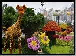 Kolorowy, Park,Klomby, Kwiaty