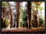 Las, Kolory, Fractalius