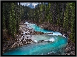 Kanada, Kolumbia Brytyjska, Rzeka Kicking Horse, Las, Góry