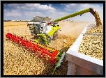 Pole, Kombajn Claas Lexion 780, Przyczepa, Żniwa