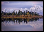 Park Narodowy Denali, Góry, Kordyliery, Góra Denali, McKinley, Drzewa, Las, Rzeka, Alaska, Stany Zjednoczone