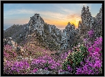 Korea Południowa, Góry Jujaksan, Skały, Kwiaty