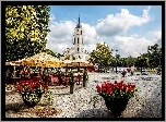 Wilno, Kościół, Restauracja, Drzewa, Kwietniki, Z Pelargoniami