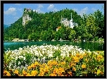 Kośclół, Zamek, Jezioro, Kwiaty, Bled, Słowenia