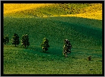 Czechy, Kraj południowomorawski, Wzgórza, Pola, Łąki, Drzewa, Kasztanowce