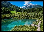 Góry, Las, Drzewa, Jezioro, Rezerwat przyrody Zelenci, Trawa, Pomosty, Kranjska Gora, Słowenia