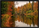 Niemcy, Saksonia, Park Rododendronów Kromlau, Kamienny, Most łukowy, Most Diabła, Jezioro Rakotz, Jesień,  Drzewa