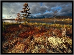 Jezioro Jack London, Drzewa, Krzewy, Góry Kołymskie, Ciemne, Chmury, Jesień, Kołyma, Obwód magadański, Rosja
