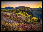 Stany Zjednoczone, Stan Kolorado, Telluride, Góry, San Juan Mountains, Góra, Wilson Peak, Las, Jesień, Góry, Drzewa, Krzewy