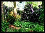 Kwiaty, Krzewy, Rododendron, Paprocie, Ścieżka, Park, Wiosna, Szwajcaria