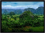 Kuba, Prowincja Pinar del Rio, Dolina Valle de Vinales, Wzgórza, Pasmo Sierra de los Organos