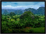 Kuba, Prowincja Pinar del Rio, Dolina Valle de Vinales, Wzgórza, Pasmo Sierra de los Organos