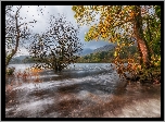 Anglia, Kumbria, Wieś Coniston, Rzeka, Drzewa, Wzgórza, Jesień