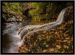 Anglia, Kumbria, Rzeka River Gelt, Las, Drzewa, Most