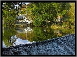 Anglia, Hrabstwo Kumbria, Rzeka River Brathay, Wieś Chapel Stile, Dom, Drzewa