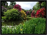 Anglia, Biddulph, Park, Ogród Biddulph Grange, Rośliny, Drzewa, Staw, Kwiaty