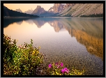 Jezioro Bow Lake, Góry Skaliste, Kwiaty, Park Narodowy Banff, Prowincja Alberta, Kanada