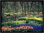 Park, Kwiaty, Strumyk