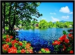Jezioro, Kwitnące, Rododendrony