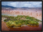 Jezioro, Laguna Colorada, Ptaki, Flamingi, Góry, Andy, Boliwia