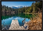 Jezioro, Cresta Lake, Pomost, Drzewa, Trzcina, Góry, Alpy, Kanton Gryzonia, Szwajcaria