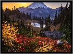 Zachód słońca, Stratowulkan Mount Rainier, Jezioro, Tipsoo Lake, Waszyngton, Stany Zjednoczone, Drzewa, Skała, Krzewy, Góry